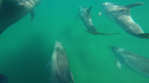 h2mexico's tweet photo. Not just your average day at the office. Prepare to be amazed....http://t.co/H4qhdrk6RE #SupCam http://t.co/ciwHZZ8Gva