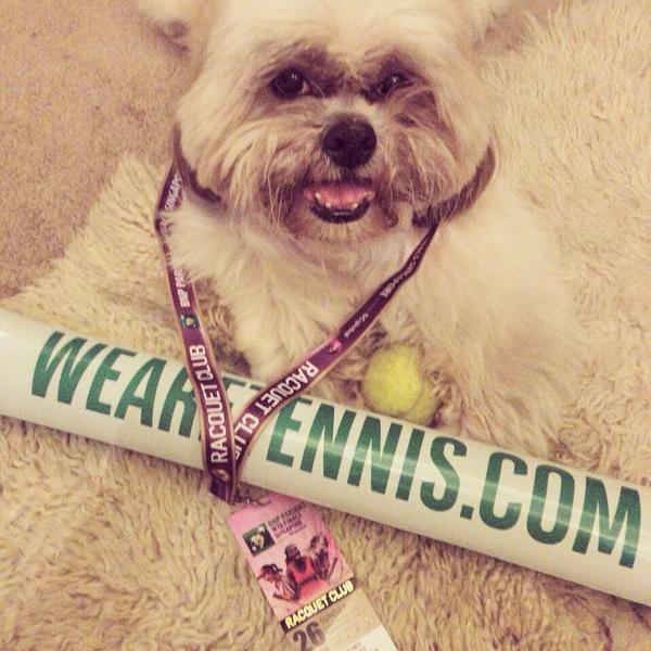 avalenty's tweet photo. Moka had a great time at the @WTAFinalsSG @WTA ! He wishes that @MariaSharapova will win the finals next year. http://t.co/mf0dCKESOa