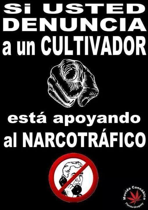 “@grow_shop No apoyemos al Narcotráfico!  #marihuanaLibre #noMasPresosPorPlantar una imagen nada mas q decir