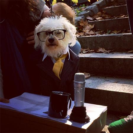 ThisAmerLife's tweet photo. "Dog Dressed as Public Radio Host Wins Honors" - http://t.co/IB1bvMxYLb http://t.co/zOXFS0mGK2