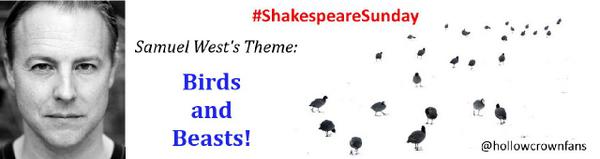 ShakesSunday tweet picture