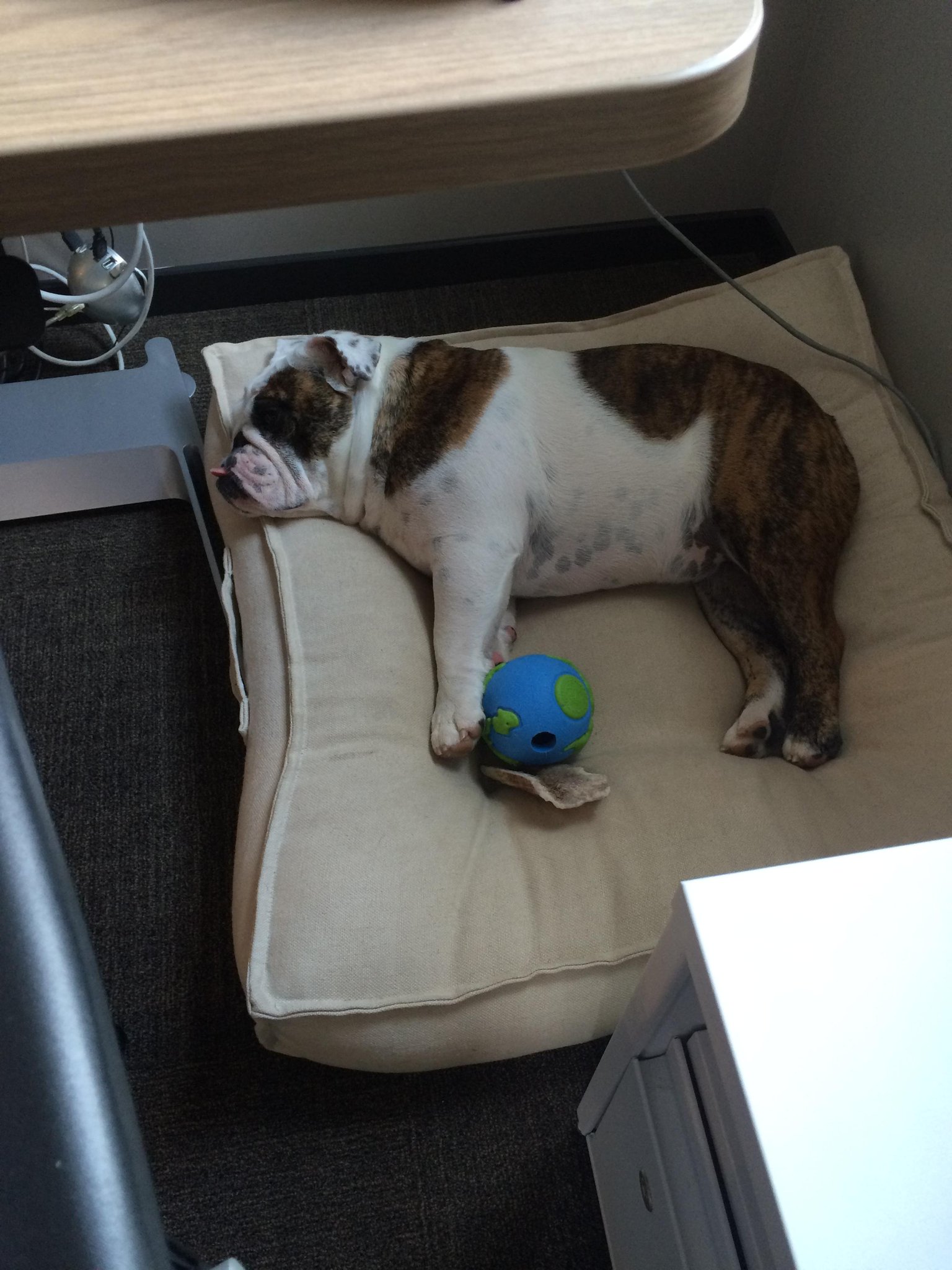 Embedded image permalink