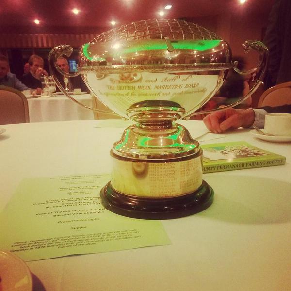 Ox_Rachel_xOx's tweet image. First year breeding pedigree sheep an my first cup! #suffolksheep #pedigree #sheep #farming @beagh_suffolks