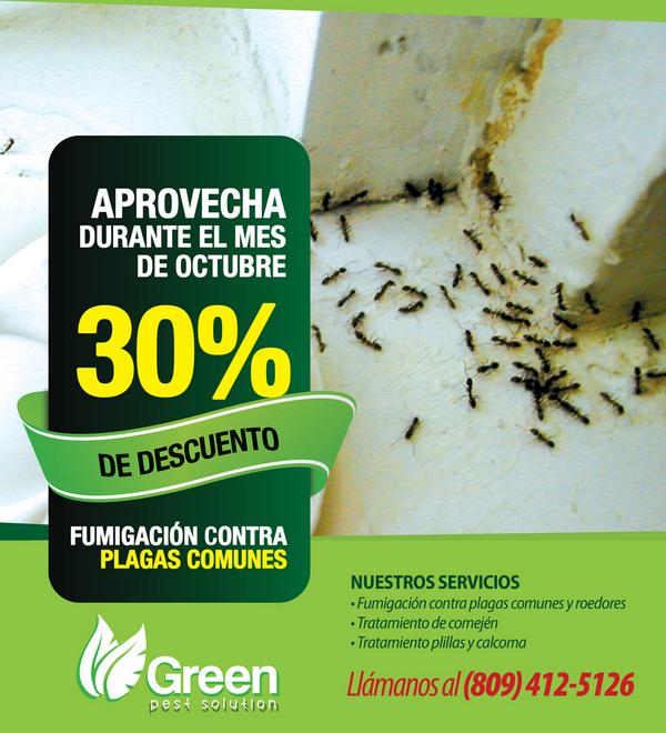 Greenpestrd's tweet photo. Aprovecha nuestra OFERTA DE OCTUBRE !!! http://t.co/alHgyMdNCJ