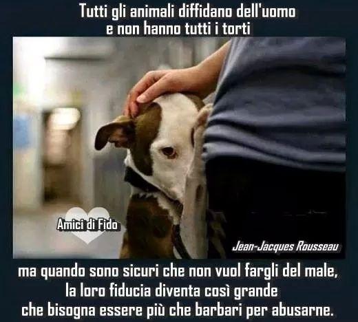 Tutti gli animali diffidano dell'uomo...