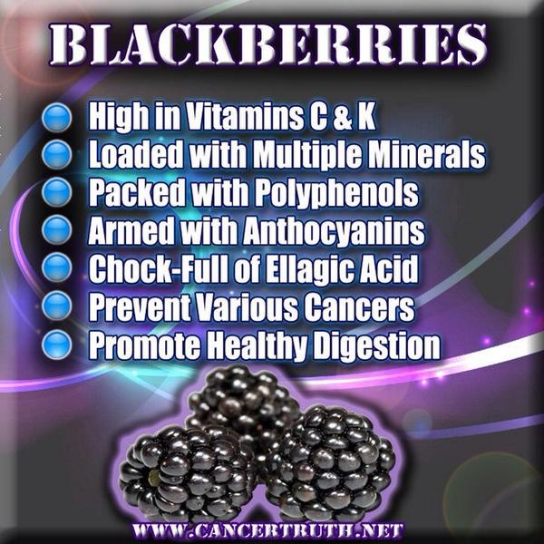 Processor_Food's tweet image. 