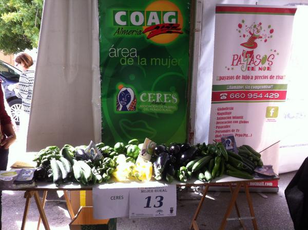 CGpurchena's tweet photo. Dia Internacional de la Mujer Rural 2014 celebrado en Purchena #dinamizaT @RedGuadalinfo,#purchena http://t.co/vl79oHjYIN