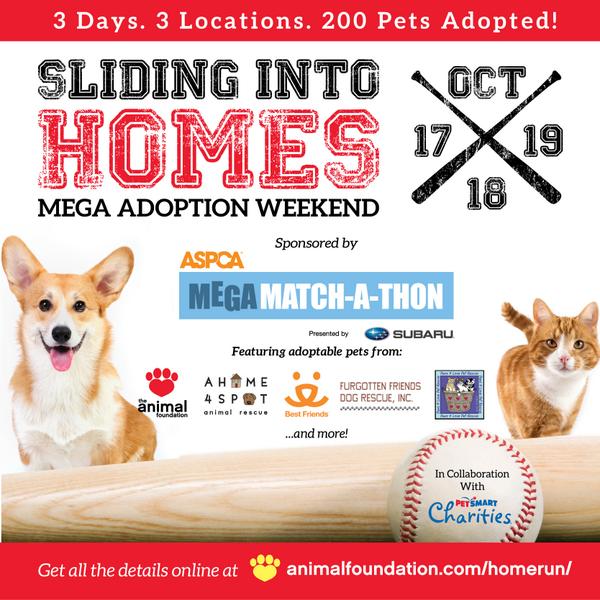 animalfndlv's tweet photo. Join us, @Home4Spot, @bestfriends, @FurgottenFriend, & Paws 4 Love for #SlidingIntoHomes #ASPCAMegaMatch Weekend! http://t.co/RJBBHOEgA6