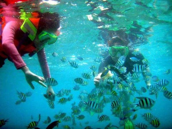 [Snorkling] - merupakan salah satu kegiatan menikmati keindahan alam bawah laut yg eksotik di Pulau Tidung