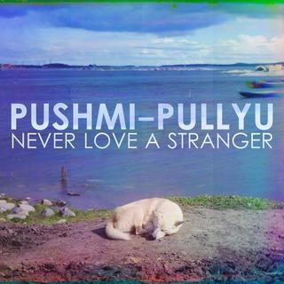 YaharaMusic's tweet photo. A great album combining rock, jazz and ambient, stream @ItsPushmiPullyu 's debut now on YML! http://t.co/WKNxUR4YLJ http://t.co/lTKgmWyFPL