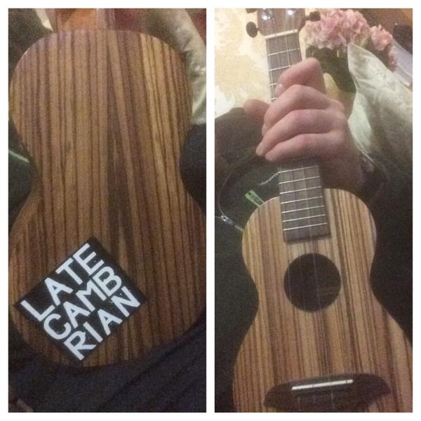 thegin_fluencer's tweet photo. @LateCambrian Hey thanks for my first piece of #ukeart sticker just too big for the front of my ukulele http://t.co/FalxjmgsxC