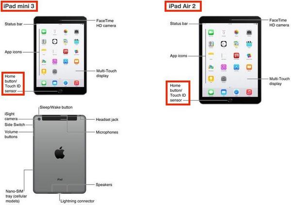 Apple, по всей видимости, нечаянно обновила инструкцию к iPad и спалила новый iPad Air и iPad Mini c Touch ID ;)