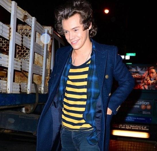 Harry (@_harrystylcs_) on Twitter photo 