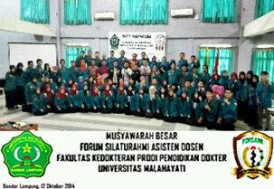 MUBES <a href="/FORSAMI2/">FORSAMI</a>