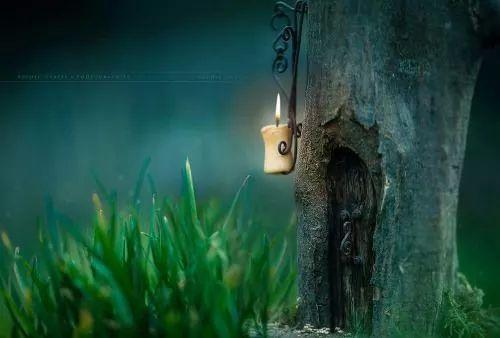 Prendi il tuo sogno, le tue speranze e comincia a volare...la notte è vicina. Sogni pieni di bene e sereni..