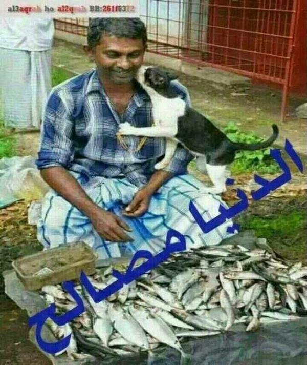 saeed1764_saeed's tweet photo. http://t.co/M2T6UbHSVl