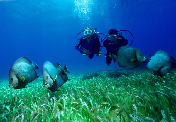 AmorxMexico1's tweet image. #ViveMexico #ViveColima Revisa el video #DQM y sorpréndete!! youtu.be/-niRznyZk8E #ViveloParaCreerlo #Turismo