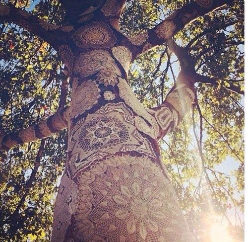 postbadindia's tweet photo. Un arbre indien décoré #Teamindia #teamdesi #teampakistan #teamsri http://t.co/vZZaeXKsam