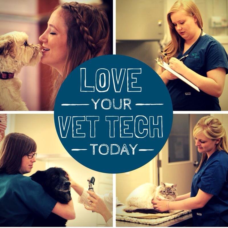 Heartland Vets on Twitter "Help us celebrate Vet Tech Week by sharing