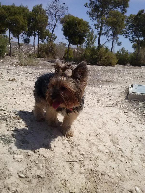 Juancarsanchez5's tweet photo. Son la felicidad de mis dias :) http://t.co/S0pEWL3UWK