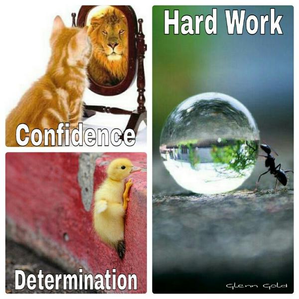 John Triton tweet media