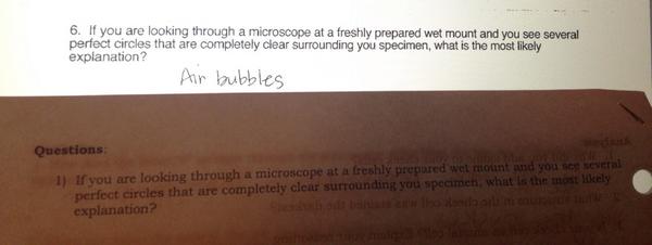 ShannonAnn0's tweet photo. When you figure out that your teacher plagiarizes your labs... 😏😏😏 http://t.co/lSmxbTWWb2