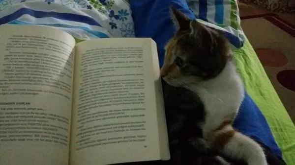 #ayrilmazikilim #mutluluk #iyigeceler