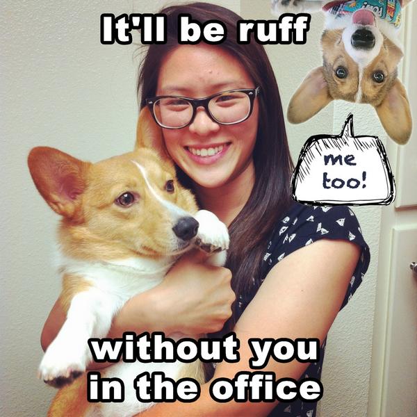 CollegeSquadTM's tweet photo. Congrats @paulinvu for graduating the @QuadChat #internship program! We loved getting to know you &amp; your #corgis! <3 http://t.co/itwVQhMZuY