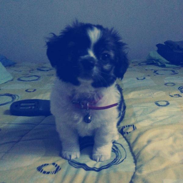 bizzle_wiki's tweet image. Baby boy!!!!