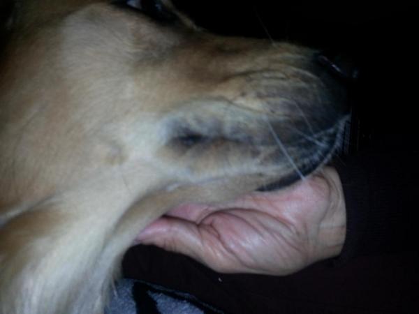 bizzle_wiki's tweet image. My bby girl!!! #grandma&apos;s #hands