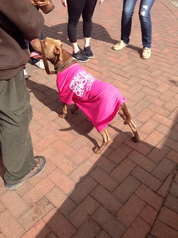whereismollie's tweet photo. We successfully sold a shirt to a dog today!! #PinkOutOSU http://t.co/JnpaIU9YM9