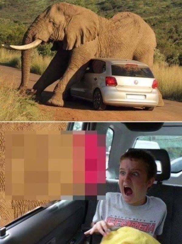 VINAI's tweet image. Hahahahahahahhahaha