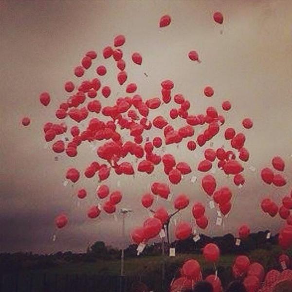 VampireElena__'s tweet photo. A year ago today I lost my best friend. We released some red balloons and got a bench in memory for you loz😭💔👼 http://t.co/f5pA7NUd6e