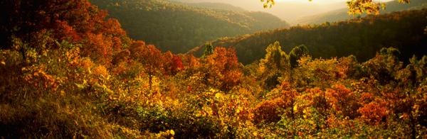 GetFactz's tweet image. A Virginia law requires all bathtubs to be kept inside the house