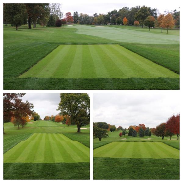 GLCCTurf's tweet photo. Mowed all 21 new tees for the 4th time today. Looking great &amp; filling in perfectly with nice moderate fall weather! http://t.co/67Nta6Q6zy