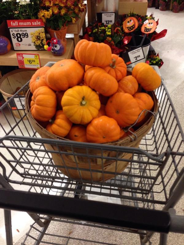 jackiecabelus's tweet photo. COME PAINT A PUMPKIN AT THE NATIONAL HONOR SOCIETY BOOTH (during fall fest) FOR ONLY $5!!! 🎃👻 http://t.co/ws3CuA85YB
