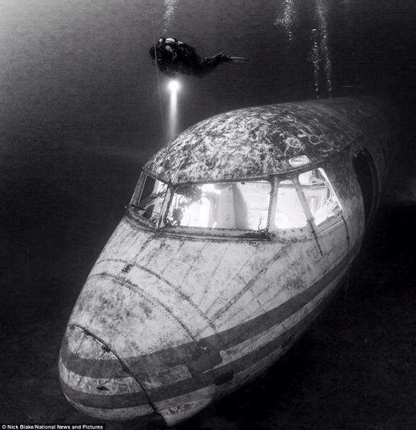 MaduroDive's tweet photo. One of Nick Blake's amazing photographs which have won many awards #NickBlake  #underwaterphotography #scubadiving http://t.co/kB6Gi6aXNE