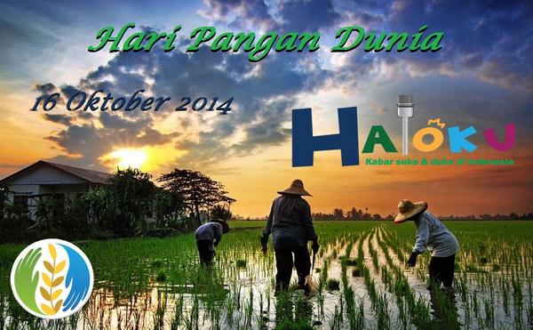 halokucom tweet picture