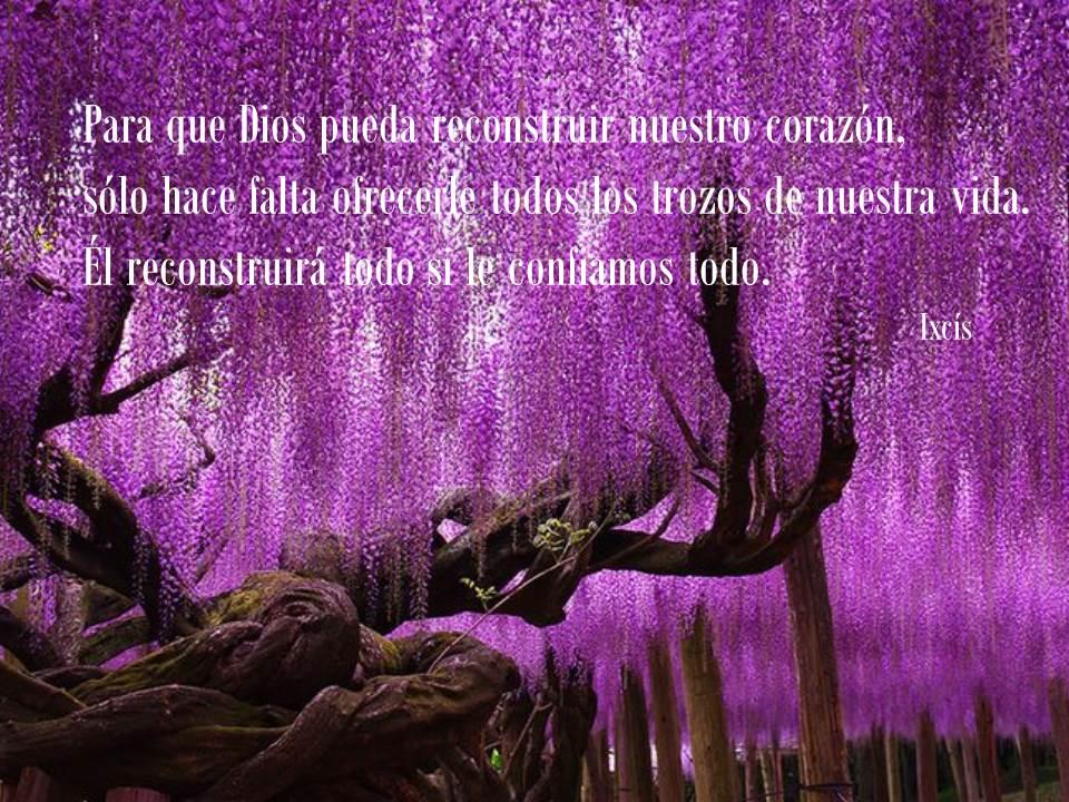 Enlace permanente de imagen incrustada