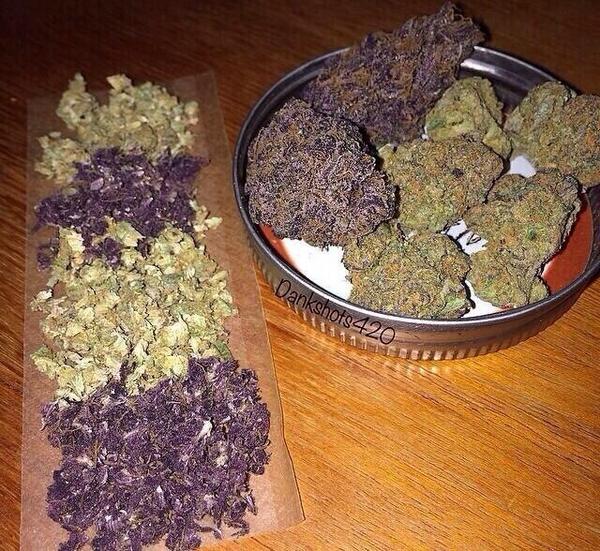 TheBombestBuds's tweet photo. Fav if you'd smoke this http://t.co/zTdTHjcEDC