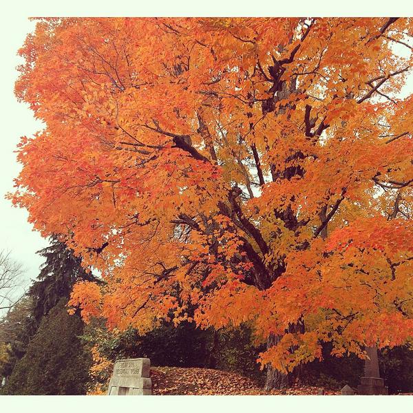 sarahe_holmes's tweet photo. New Hampshire, I love you! #HappyFall #FromNH @VisitNH http://t.co/pBO5RjZhYt