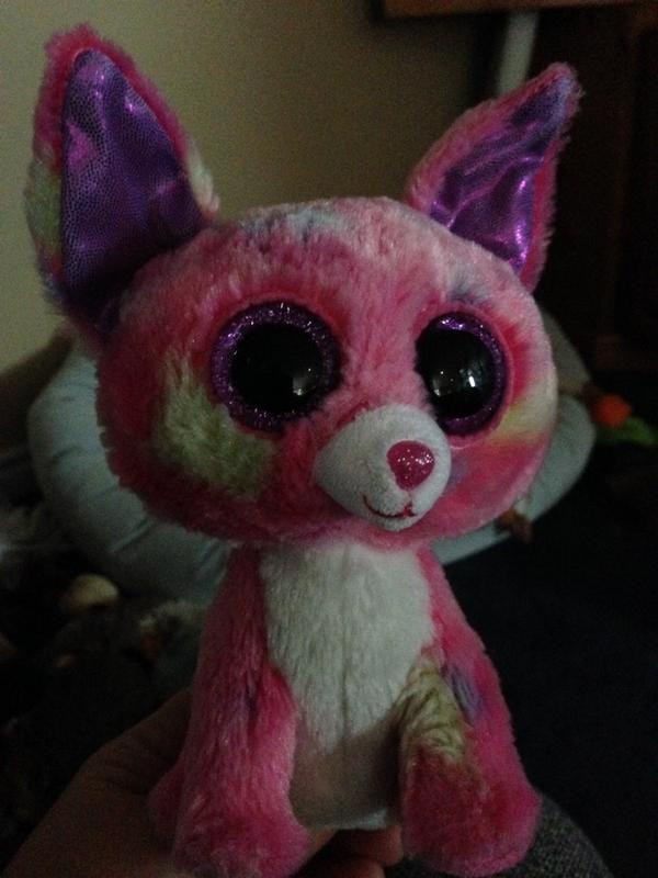 sjarrett10's tweet photo. I can't sleep at night knowing this thing is in the house. http://t.co/0XqrhJaok5