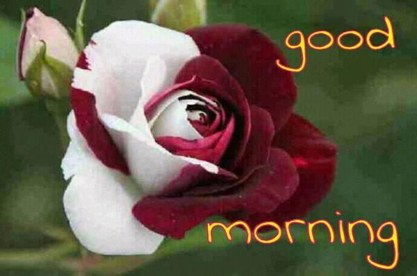 joevvin tweet picture
