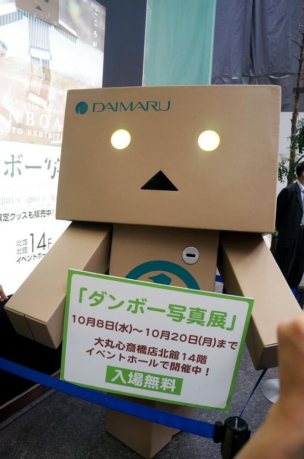 ダンボー写真展 ダンボー写真展