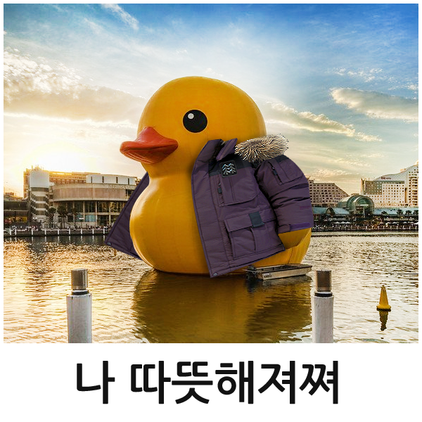 KOLONSPORT's tweet photo. [러버덕 X 안타티카 EVENT] 러버덕처럼 안타티카를 입고 싶다면 @kolonsport 팔로 &amp; 트윗 RT! 추첨통해 2명에게 안타티카 증정! (10/16~19, 10/20 발표) http://t.co/qmthMW3rXx