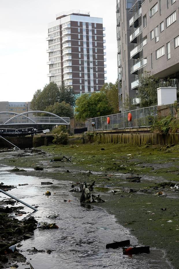 Embedded image permalink