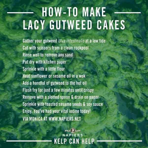 Napiers1860's tweet photo. Or as a tasty snack? #KelpCanHelp We love #seaweed at http://t.co/rWXwL1ifH4 @obanfiddle @JennieMacfie http://t.co/OpJ0MNy5Df