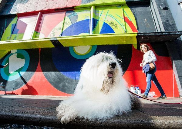 Embedded image permalink