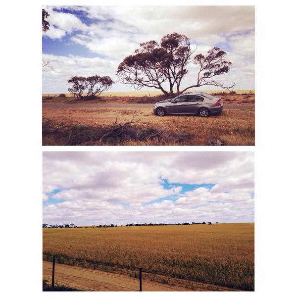 466495526's tweet photo. Grassland 假装来到了非洲动物世界😄 http://t.co/1gnzjqUUPt