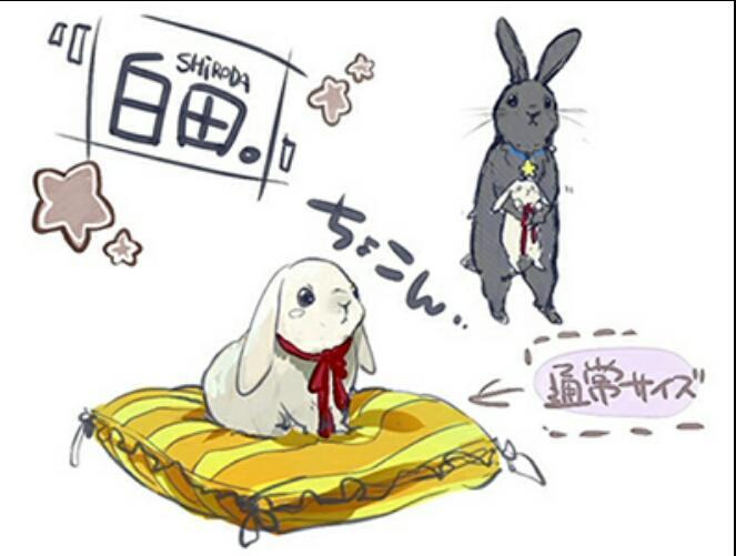 ٹوئٹر 昴 ٹوئٹر پر 我らがツキウタ のマスコットキャラの黒田 男の子 と白田 女の子 です 黒田 はでかいです 三枚目は1月の始さん 黒田がめっちゃなついてます とおねんねなうの黒田です 萌えたら公式へ Http T Co Y2vfujdmzf Http T Co 2smi4klmfc